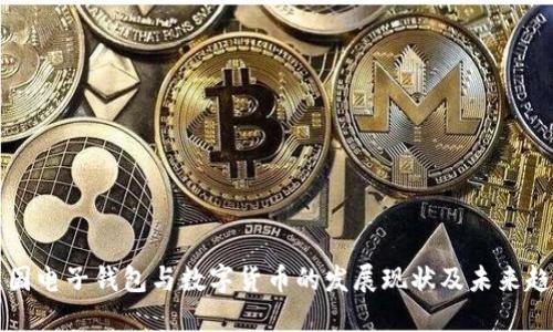 中国电子钱包与数字货币的发展现状及未来趋势