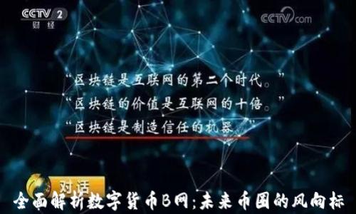 
全面解析数字货币B网：未来币圈的风向标