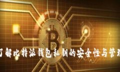 深入了解比特派钱包私钥的安全性与管理策略